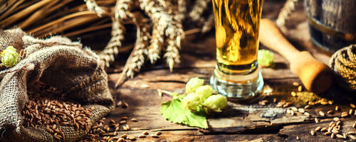 Glass of fresh cold beer in rustic setting. Food and beverage background