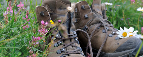 chaussures de randonnée dans l'herbe parmi les fleurs